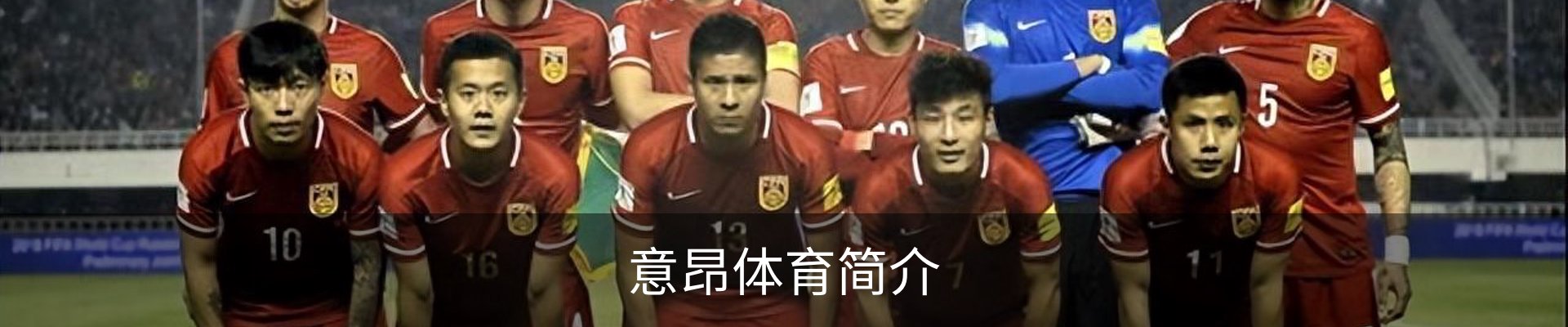 意昂体育简介